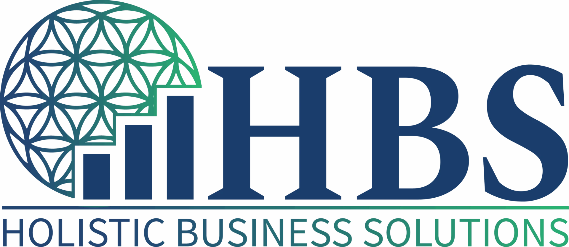Holistic Business Solutions
